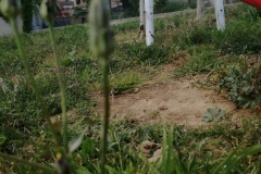El meu racó desde l_infancia