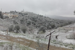 Paisatge nevat