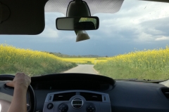Conduint per un mar groc